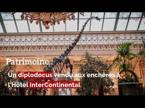 Patrimoine : un diplodocus vendu aux enchères à l'Hôtel InterContinental