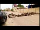Barricades block some side streets of Sudan&rsquo;s Omdurman - Label : AFPTV - First images - Category : News