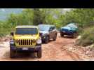 Jeep Wrangler Rubicon Offroad Driving