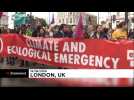 Activists stage climate protest in London