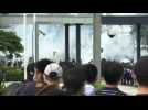 Hong Kong police use tear gas on protesters - Label : AFPTV - First images - Category : News