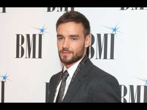 Liam Payne: 'One Direction's success was dumb luck'