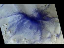 Hairy, Blue Spider Pops Up on Mars