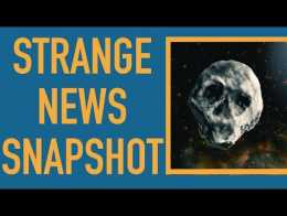 Skull Asteroid Will Just Miss Halloween