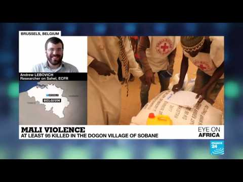 Mali attack : scores killed in attack on Dogon village