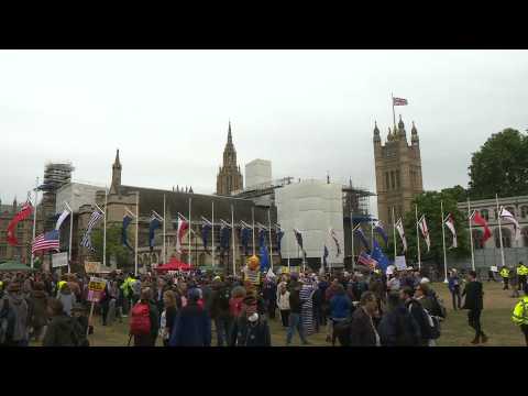 Anti-Trump protesters rally around Parliament Square