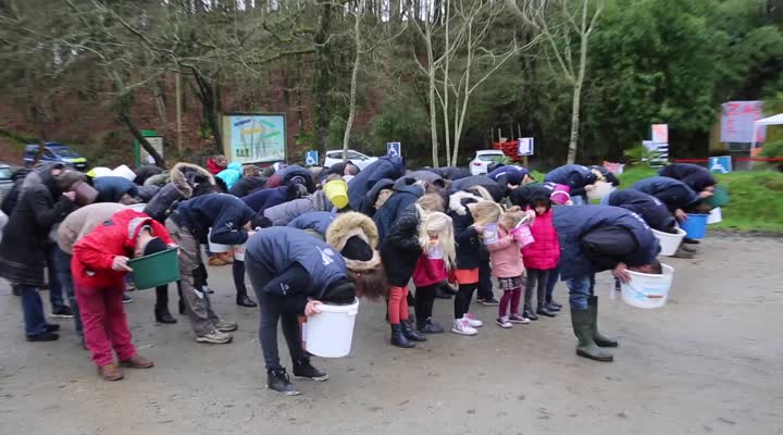 Zoo de Pont-Scorff. 80 participants au flash-mob (Le Télégramme)