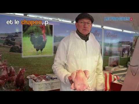 Découvrez nos idées de produits locaux pour un repas de Noël...
