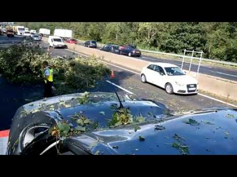 Adobe Spark Video (2)