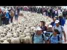 D&eacute;fil&eacute; &eacute;leveurs &agrave; Lyon - Label : Le Progrès - Category : News