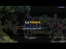La Véloire : la voie verte du Roannais