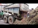 Manifestation des agriculteurs à Colmar