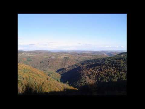 Bernat DVG canton de Boen