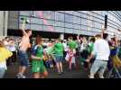 Euro 2016: Ukrainiens et Irlandais font la fête au Parc OL