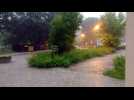 VID_20160616_193856 - Label : Le Progrès - Category : News