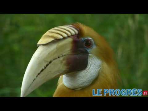 Un parc des Oiseaux aux couleurs tropicales