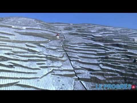 La côte-rôtie selon Ogier : "Les syrah les plus élégantes et les plus fines de la vallée du Rhône"