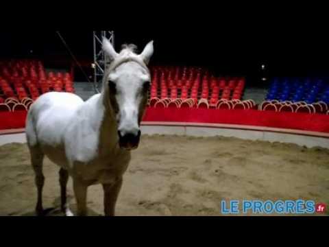 Medrano : le dressage...