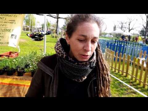 La dixième édition de Plantes en fête a débuté