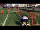 Besançon  Challenge sportif des sapeurs-pompiers