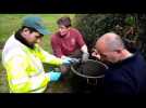 Les jardiniers de la ville de Besan&ccedil;on donnent des conseils aux particuliers sur la plantation des vivaces - Label : L'Est Républicain - Category : News