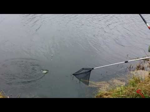 Pont-à-Mousson : ouverture de la pêche et première prise