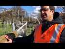Allenjoie (25) : la LPO Franche-Comt&eacute; et Enedis agissent ensemble pour pr&eacute;server les cigognes - Label : L'Est Républicain - Category : News