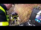 Territoire de Belfort : un chien secouru par les pompiers - Label : L'Est Républicain - Category : News