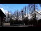 Les cigognes de retour &agrave; Lun&eacute;ville apr&egrave;s l'hiver - Label : L'Est Républicain - Category : News