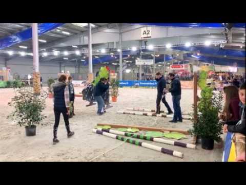 Salon du cheval de Besançon : concours de saut d'obstacle sur la grande carrière