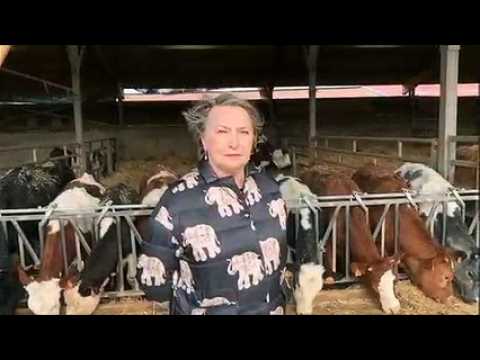 La SPA alerte sur un cas de vaches en difficulté sur un élevage proche de Bouclans (25)