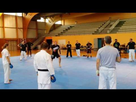 Pont-à-Mousson Stage de karaté mix avec Loïc Marty champion d'Europe et du monde en MMA