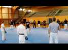 Pont-à-Mousson Stage de karaté mix avec Loïc Marty champion d'Europe et du monde en MMA