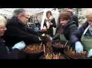 Reprise des ateliers jardinage Les Mardis aux serres &agrave; Nancy - Label : L'Est Républicain - Category : News