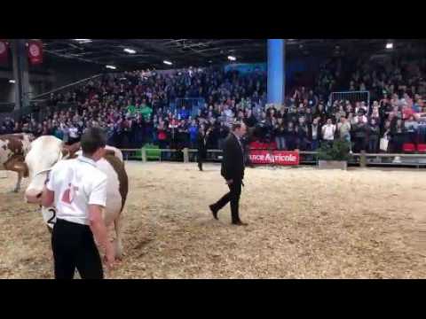 La victoire de Lillusion, vache montbéliarde du Doubs, au Salon de l'agriculture