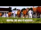 Teaser de la manifestation "Vache de salon" qui se déroulera à Besançon