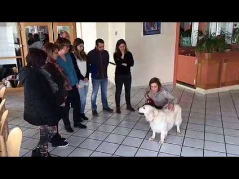 Besançon : journée de sensibilisation des professionnels du chien et de l’enfant à la relation responsable avec l’animal