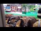 Hyperlapse : un petit tour au Salon de l'agriculture avant l'arrivée du public