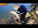Insolite : un esturgeon p&ecirc;ch&eacute; dans le canal &agrave; Exincourt - Label : L'Est Républicain - Category : News