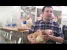 Au salon de l'agriculture, on élit la plus belle poule Meusienne