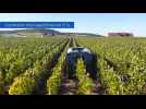 Le robot des vignes invent&eacute; &agrave; Reims - Label : L'Est Républicain - Category : News