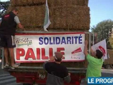 Les éleveurs sur la paille appellent à l'aide