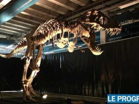 Paleo Monsters : les dinosaures envahissent Villeurbanne