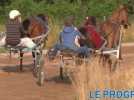 Hippisme: la rel&egrave;ve du trot est assur&eacute;e dans le Forez - Label : Le Progrès - Category : Sport