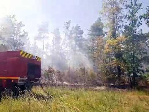 Feu de forêt contenu a Foug, dans le Toulois