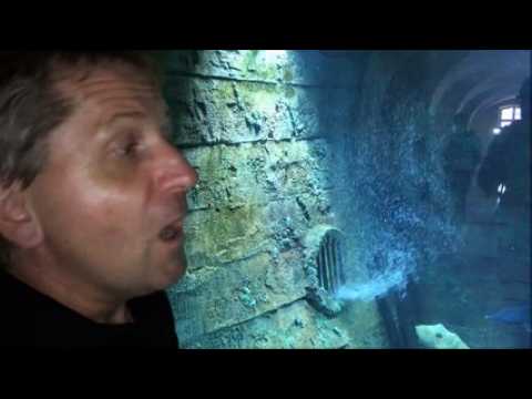 A la rencontre de Mickael Bejean, responsable de l’aquarium de la Citadelle de Besançon