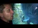 A la rencontre de Mickael Bejean, responsable de l&rsquo;aquarium de la Citadelle de Besan&ccedil;on - Label : L'Est Républicain - Category : News