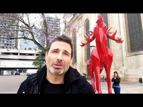 Richard Orlinski présente ses œuvres installées au centre-ville de Nancy