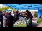 Ambiance et foule au 16e Marché bio et aux plantes de Bar-le-Duc