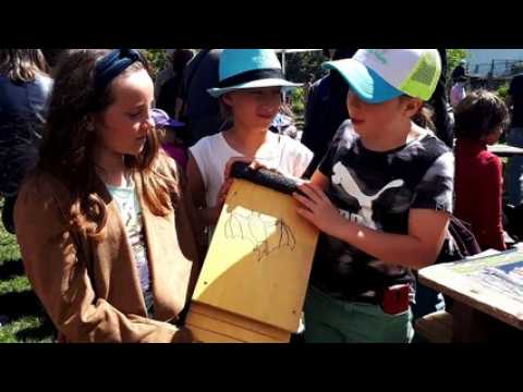 Festival de la ferme des Vaites : trois écolières présentent leur gîte à chauve-souris
